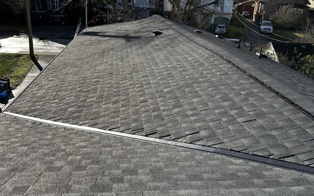 Understanding the Basics of Roof Repair: Common Causes and Solutions